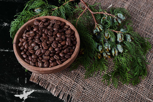 Unveiling the Mystery of Coffee's Rare Gem: The Fascinating World of Geisha Beans