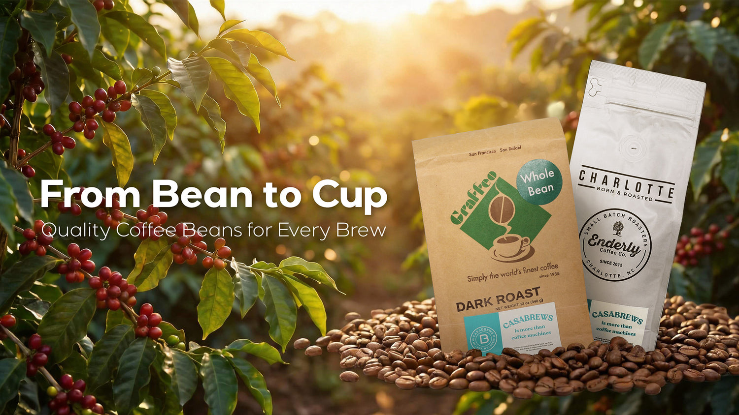casabrews coffee beans
