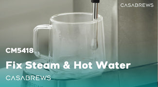 Fix for Steam Wand and Hot Water Function Issues